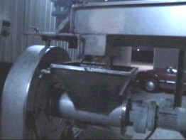 Este es  el molino que tritura la aceituna limpia y lavada que llega desde la tolva.